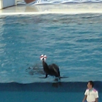 縁に掴まってるんです。