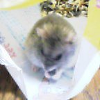 うまうま～♪♪