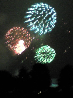 ０７年７月２２日公園より・１