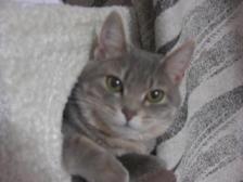 いい具合に光が入ってます