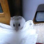 手前は布オムツ(^^;;;