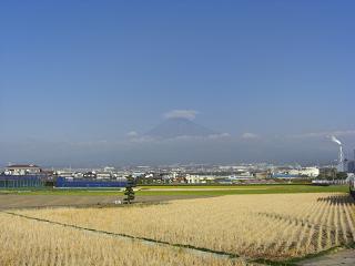 富士山２０１１年１１月３０日１１：５６