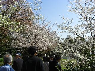 お父しゃんの後姿付き