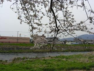 天気が良ければ・・・