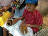 モルさんふれあい体験