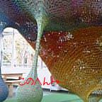 ゆうしゃんを探せ！