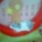 こうしくん走る