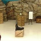 鳥羽水族館のアシカショー