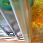 写ってない・・・