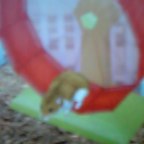 ＤＳはむたろう