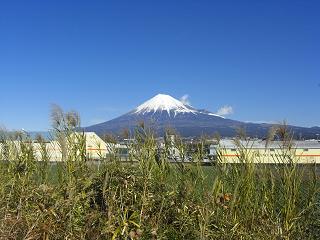 富士山２０１１年１月２日（３）