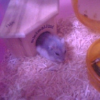 気付いたみたいです。