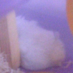 これも寝てます。