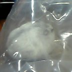 別角度の袋入りハム