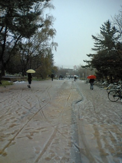 初雪