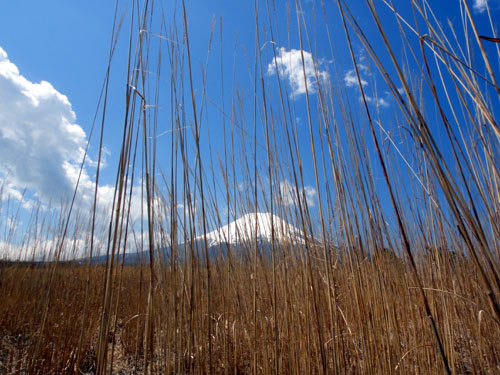 富士山　2011.5.8.JPG