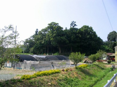 岡崎の城山遠景（南方から）