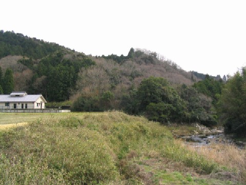 秦梨山城