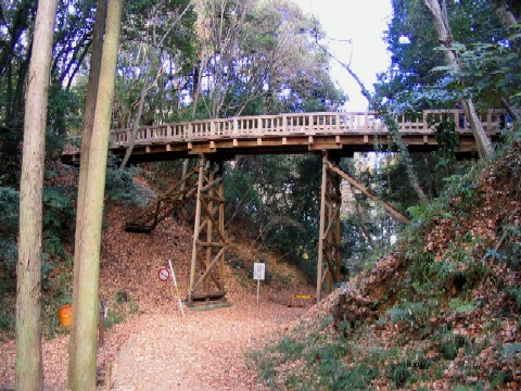 滝山空堀（中の丸・本丸）