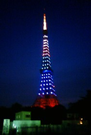 東京タワー_2009_7_4.JPG