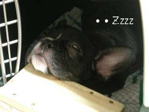 ・・・Ｚzz