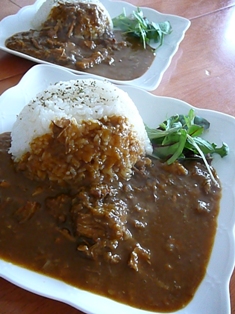 ライスでカレー.jpg