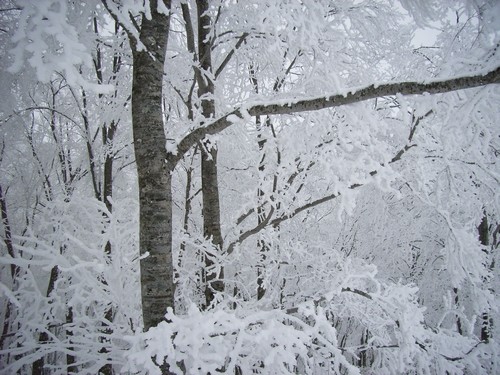 2008-01-Urabandai-05