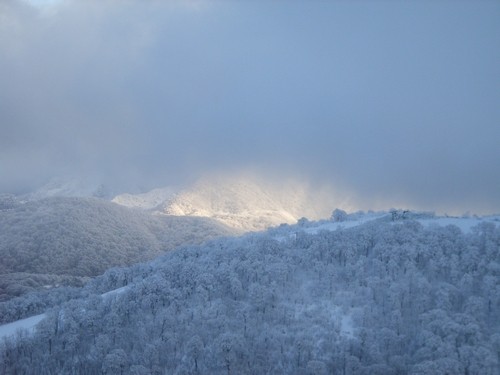 2008-01-Urabandai-08