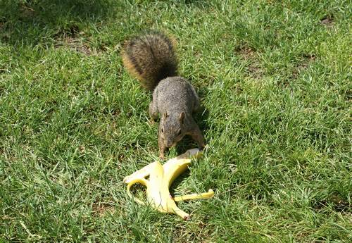 2007-09-LosVerdesGC-04