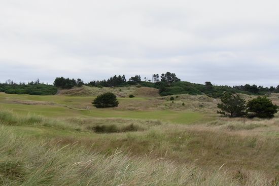 2010-08-PacificDunes-04