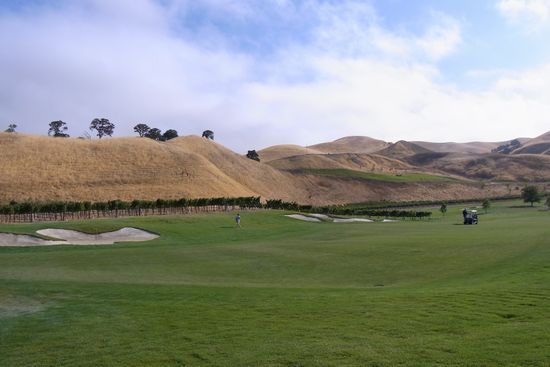 2010-08-Wente-01