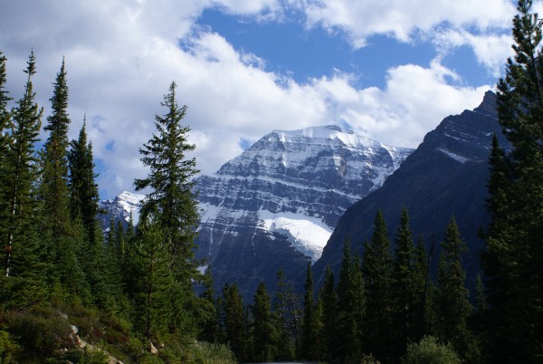 2006-08-06 EdithCavel-1