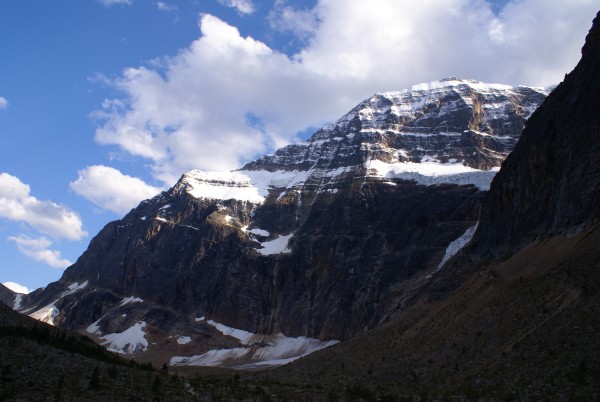 2006-08-06 Edith Cavel