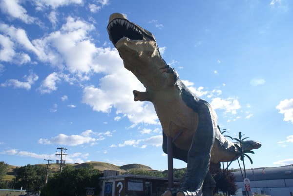 2006-08-01 Dino Obje