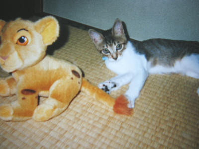 2005-12-10 20:04:09