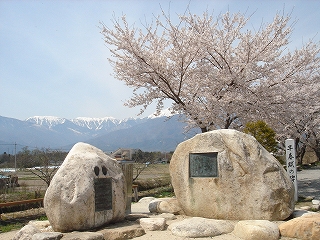 早春賦の歌碑と桜と残雪