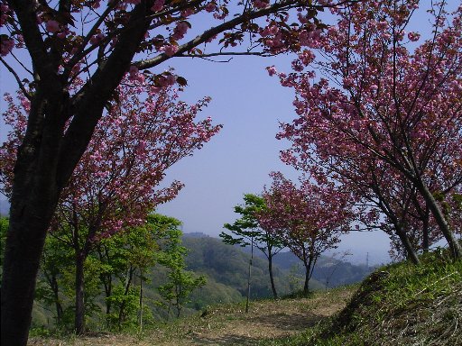 2010.5.3倶利伽羅