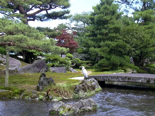兼六園景色２　さぎ