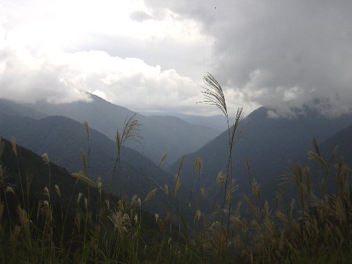 ゴンドラ山頂より