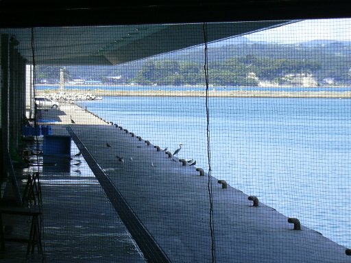 氷見漁港市場内