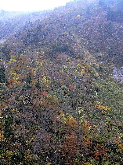 八郎坂のある山