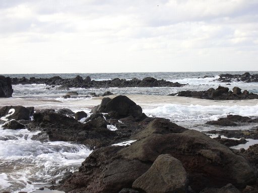 １９・１１・２３いそ２