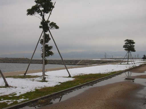 海竜公園　2008.1.5