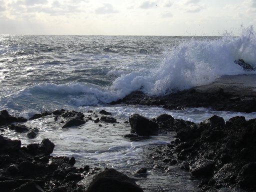 １９・１１・２３いそ波