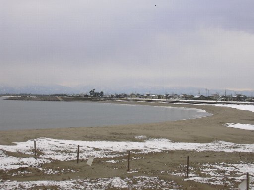 海老江海浜公園　2008.1.5