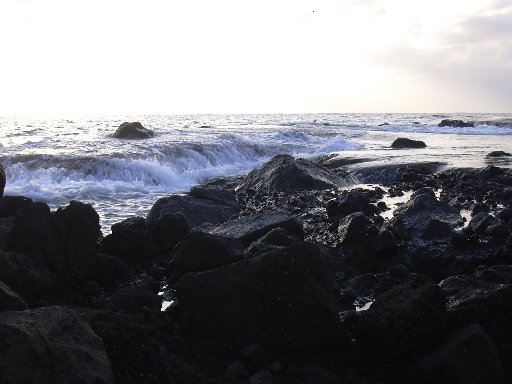 １９・１１・２３いそ波２