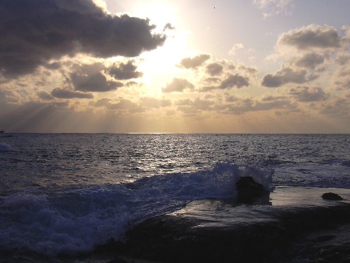 １９・１１・２３黄金色