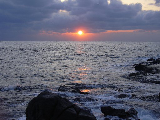 夕陽お気に入り