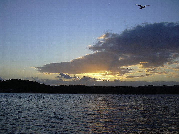 お気に入りの一枚