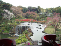 newotanigarden.jpg